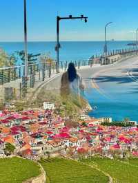 青島1元環海公交yyds！沿途海景美翻天