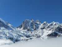 叢林界的一鯨落萬物生~