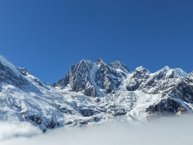 叢林界的一鯨落萬物生~ 叢林界的一鯨落萬物生~
