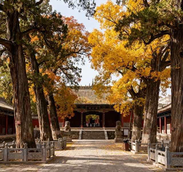 天水之秋，古韻悠長｜這座低調的西北古城，藏著最詩意的秋天