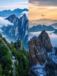 一山兩季｜河南老界嶺免票到年尾，打卡南北氣候分界線