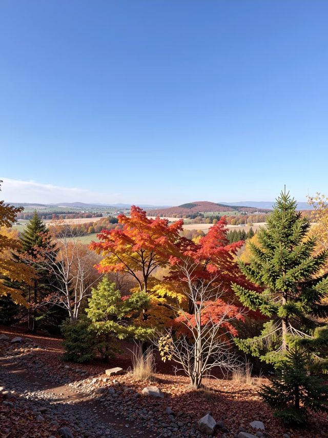 北京秋遊秘境0元紅葉山谷美哭 今年秋天別再擠香山啦!姐妹們,我最近發現了一個寶藏秘境——密雲的 北京秋遊秘境0元紅葉山谷美哭 今年秋天別再擠香山啦!姐妹們,我最近發現了一個寶藏秘境——密雲的