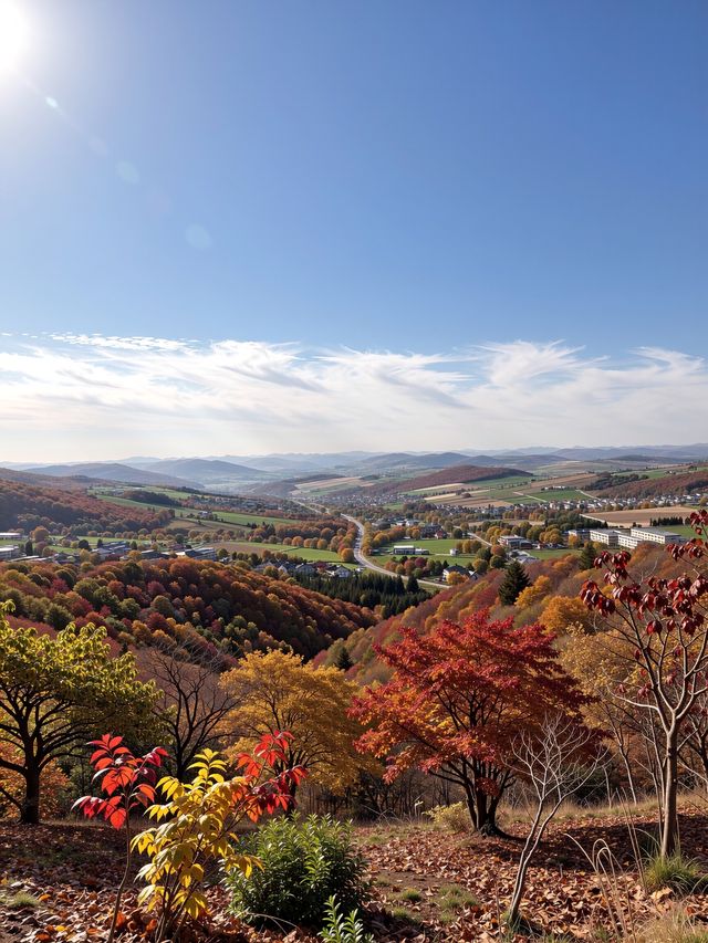 密雲私藏紅葉秘境比香山人更少景更美！
