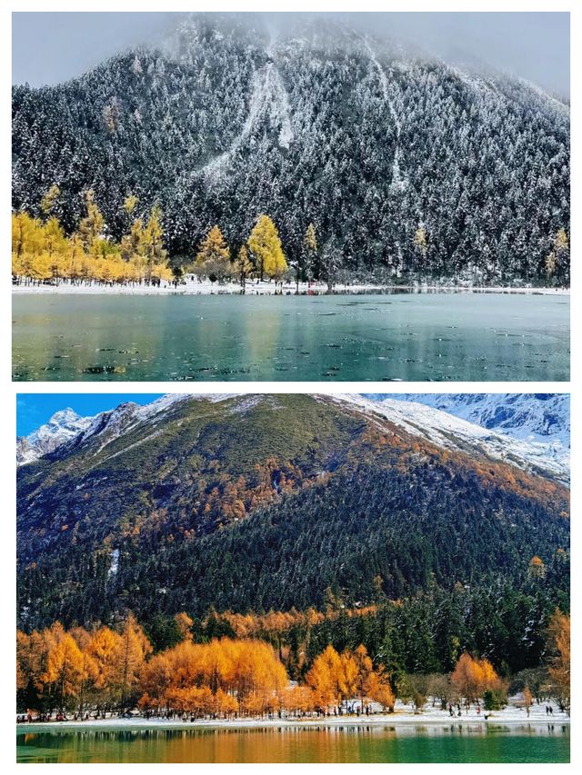 雪後的畢棚溝,美成了北歐 雪後的畢棚溝,美成了北歐