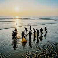 惠州黃金海岸避坑指南