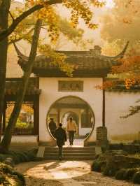 帶娃追秋婺源2天玩遍曬秋與柿子超治癒！