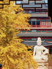 明孝陵2日遊攻略