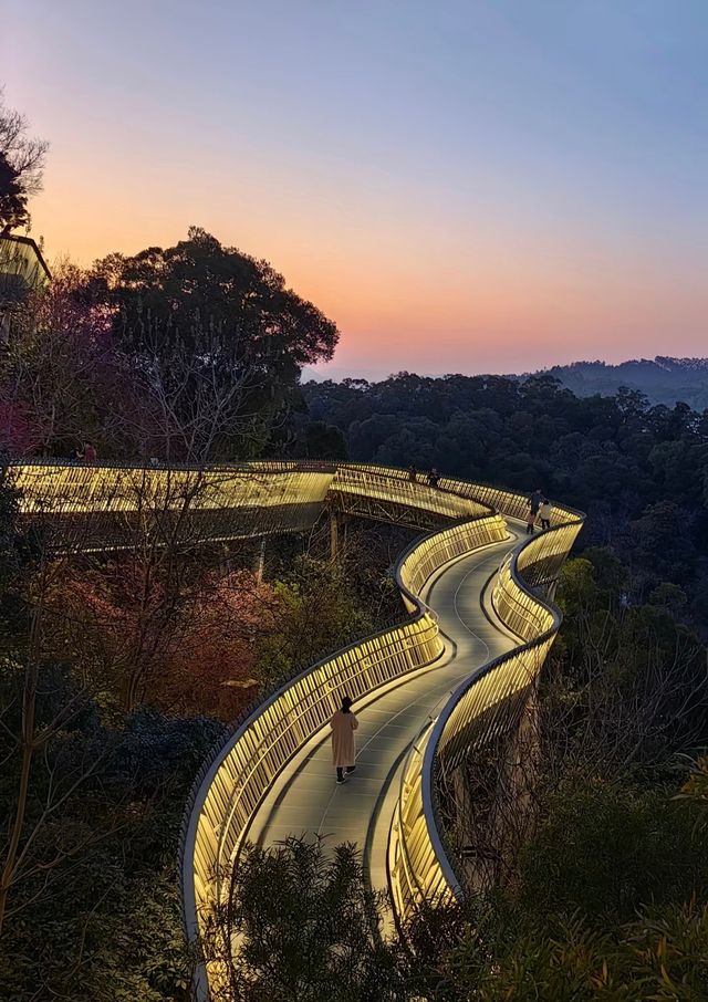 福州Citywalk，一場穿越古今的漫步