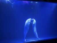 企鵝巡遊與白鯨之戀的奇幻盛宴