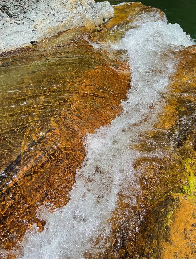 避暑固原：在涇源老龍潭邂逅18度的夏天