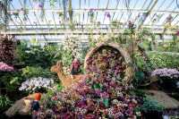 邱園蘭花節：在邱園觀賞中國雲南花卉美景