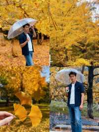 帽峰秋語：在金色秘境治癒心靈