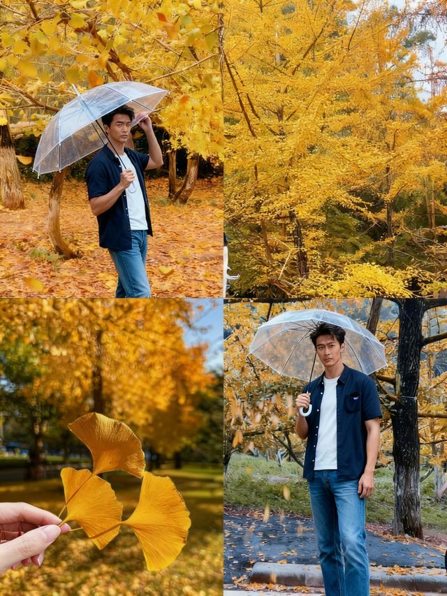 帽峰秋語：在金色秘境治癒心靈