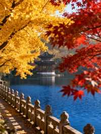 燕雀湖：南京秋日水上仙境