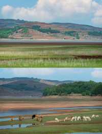 絕美日落觀鳥地