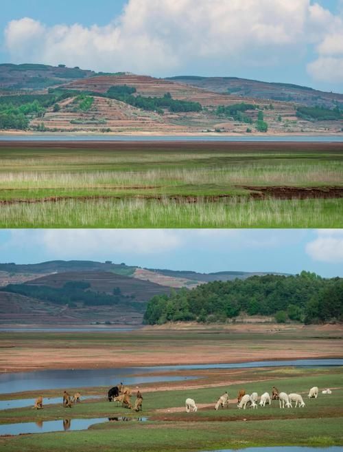 絕美日落觀鳥地