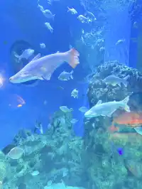 目測會成為泉州下一個No.1