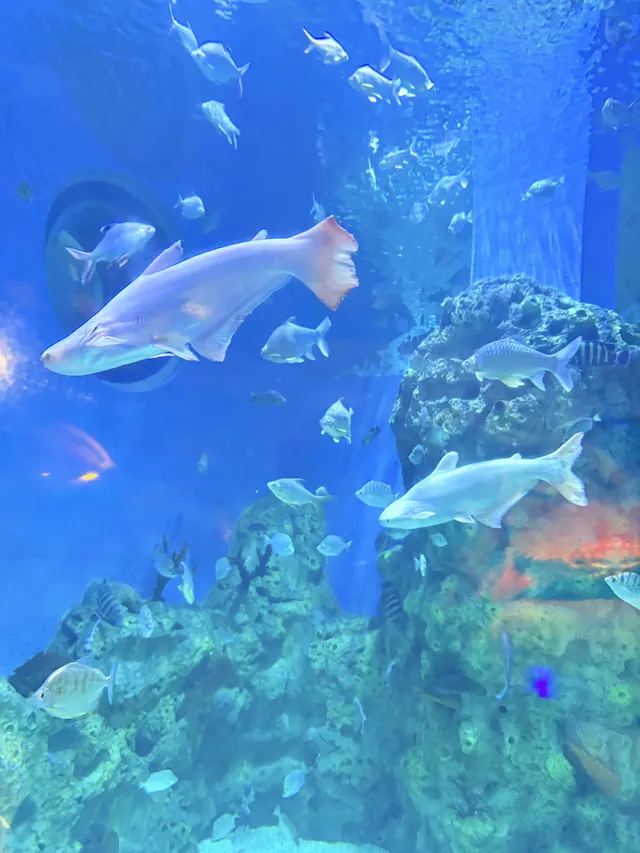 目測會成為泉州下一個No.1