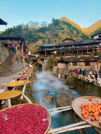 楠溪江秋冬遊攻略一鍵解鎖金黃柿子+古村曬秋+紅楓古道