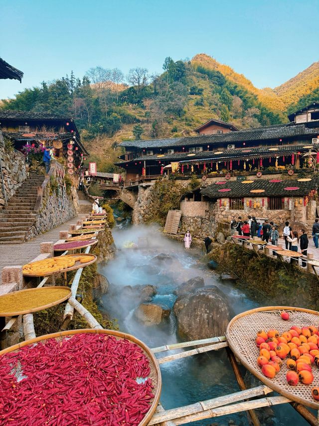 楠溪江秋冬遊攻略一鍵解鎖金黃柿子+古村曬秋+紅楓古道