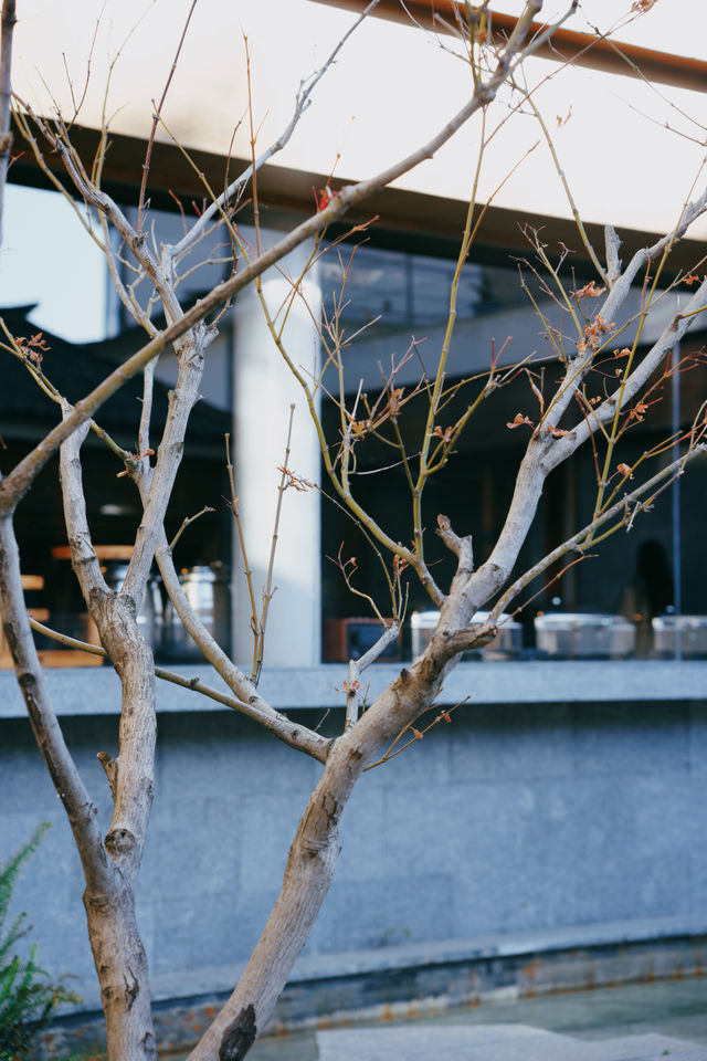 在這間面朝洱海的詫寂小院，我找到了消失的歲月