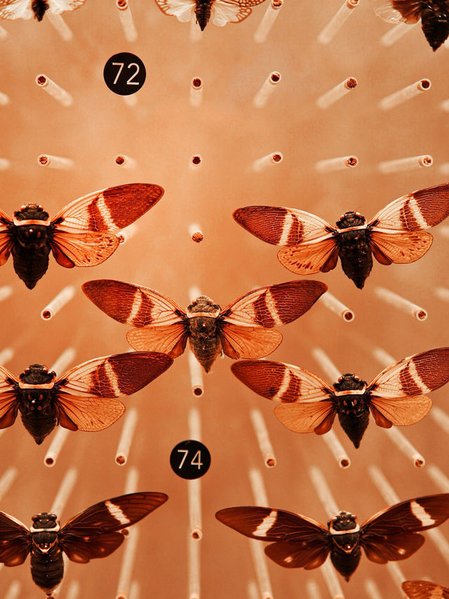 Самый красивый Шанхайский музей природы 🦖🇨🇳