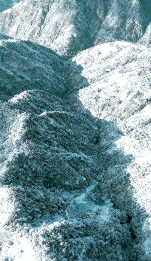 雪哀牢山_雲南 雪哀牢山_雲南