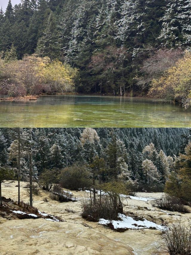 黃龍絕美雪景大公開!誰說黃龍不如九寨的? 黃龍絕美雪景大公開!誰說黃龍不如九寨的?