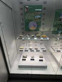 武漢 / 中國地質大學逸夫博物館