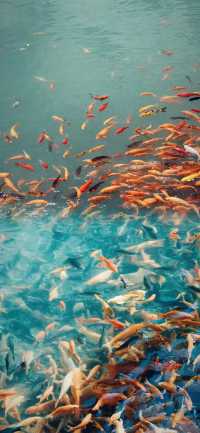 闖進溫州永嘉的巨型神仙洞府,巨震撼!