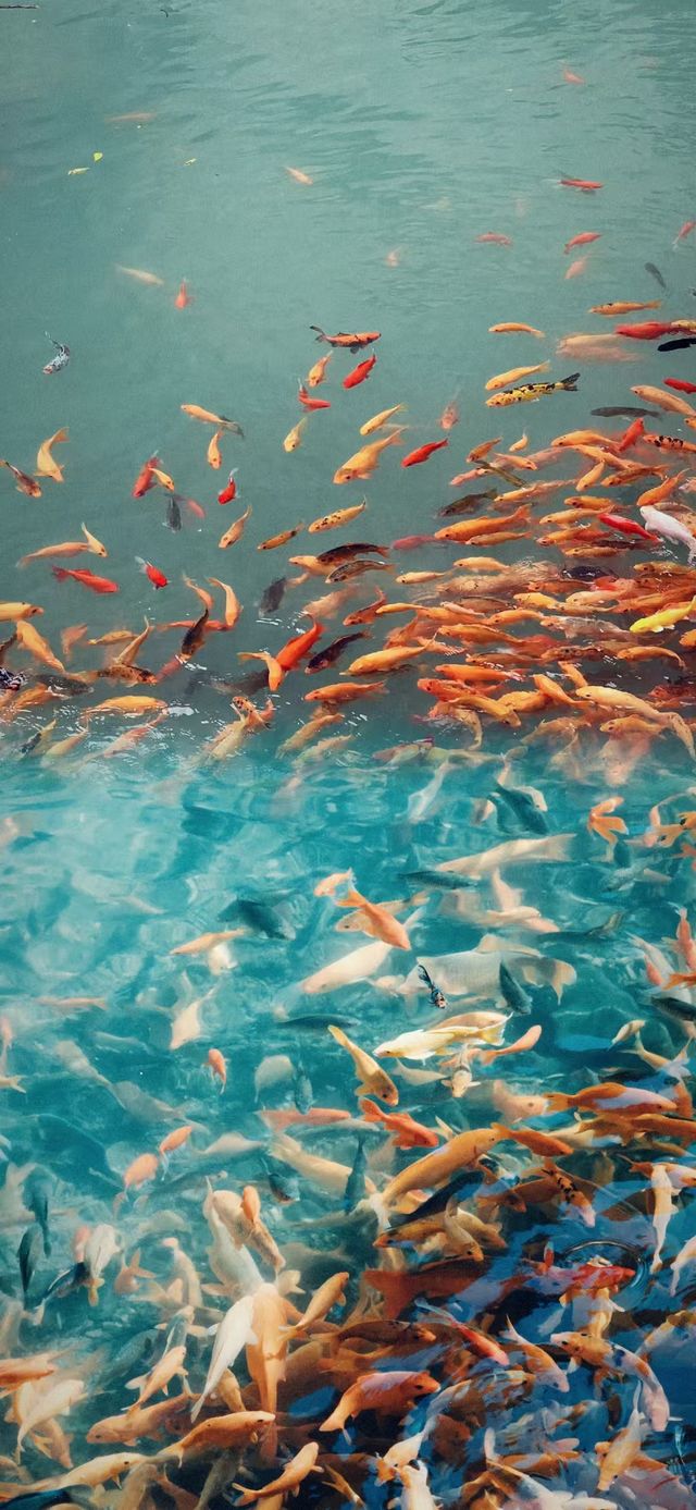 闖進溫州永嘉的巨型神仙洞府,巨震撼! 闖進溫州永嘉的巨型神仙洞府,巨震撼!