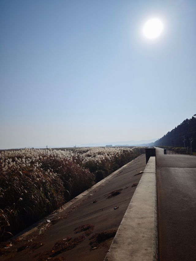 太湖綠地公園 太湖綠地公園