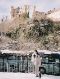 新天鵝堡夢幻冰雪城堡