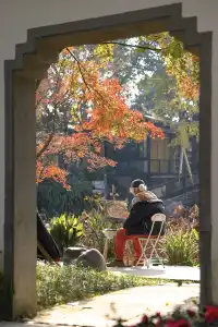 在成都拍到了和蘇州一樣的園林秋景！