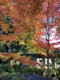 名古屋紅葉—白鳥庭園