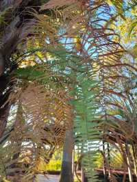 普洱這個小眾秘境，藏著最治癒的冬日暖陽