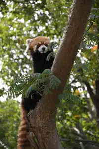 30歲不薅羊毛，更待何時！