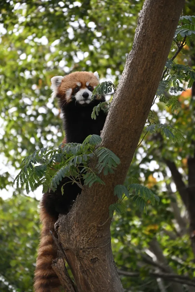 30歲不薅羊毛，更待何時！