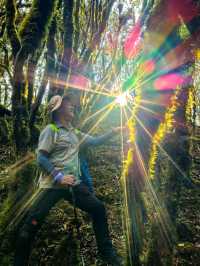 徒步在真正的天然氧吧之中~