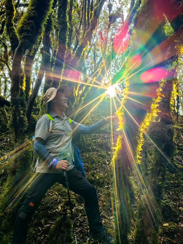 徒步在真正的天然氧吧之中~ 徒步在真正的天然氧吧之中~