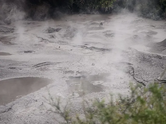 新西蘭北島值得二刷的羅托魯瓦 新西蘭北島值得二刷的羅托魯瓦