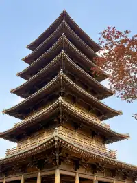 live赴一場人少景美的寶山寺唐風紅葉之約