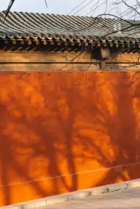 今天只想坐在飛雲樓這面牆下曬太陽