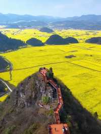 油菜花海拍照指南