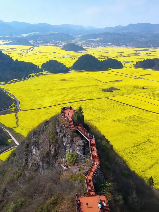 油菜花海拍照指南 油菜花海拍照指南