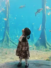 2歲寶寶,珠海長隆2天1晚遊玩攻略