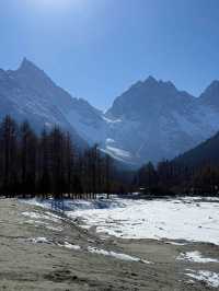 沉浸式體驗 『理小路』