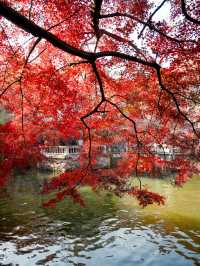 虞山秋日限定常熟紅葉美翻了丨附機位