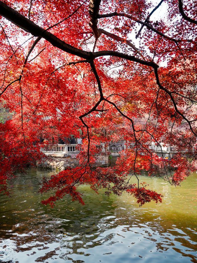 虞山秋日限定常熟紅葉美翻了丨附機位