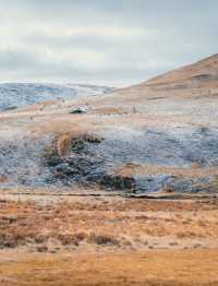 自駕川西一場大雪,川西有了冬日氛圍